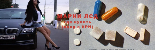 ГАЛЛЮЦИНОГЕННЫЕ ГРИБЫ Баксан