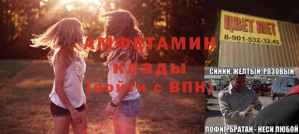 ГАЛЛЮЦИНОГЕННЫЕ ГРИБЫ Баксан