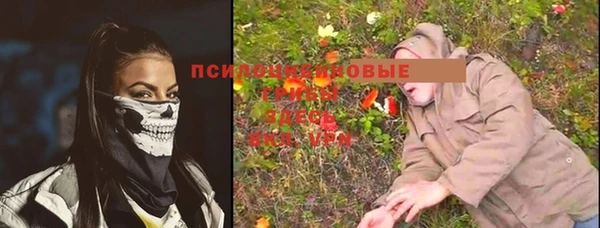 герыч Балахна